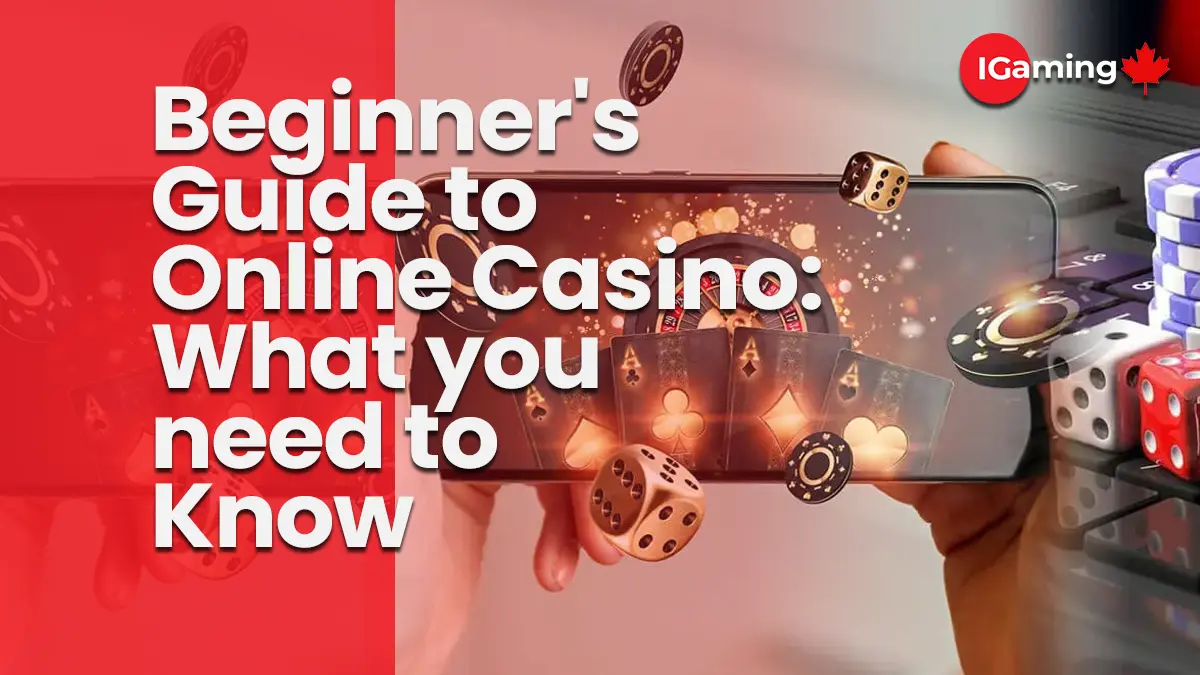 Beginner Guide to Online Casino What you need to Know